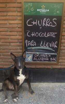 Churreria Algazara Bar