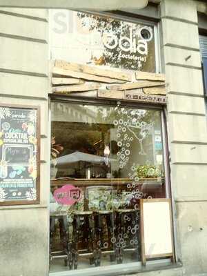 Parodia Bar