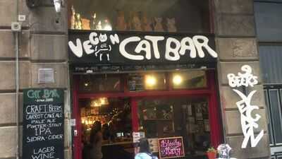 Vegan Cat Bar