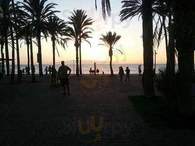 Restaurante Playasol - Photo 7