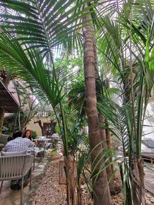 Restaurant Can Marques