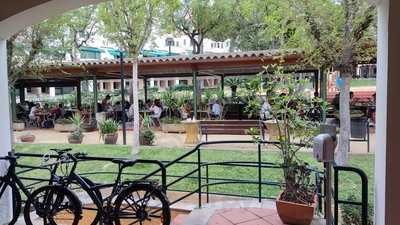 Les Palmeres De Can Quim