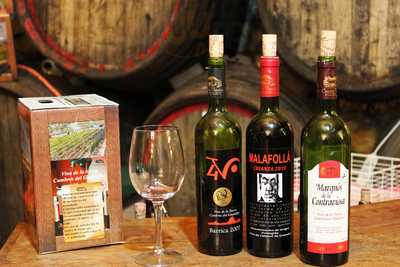 Bodega Cuatro Vientos