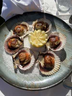 Sybius Cala Canyelles