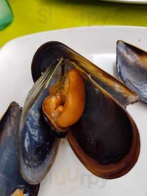 O Roncudo Da Costa Da Morte