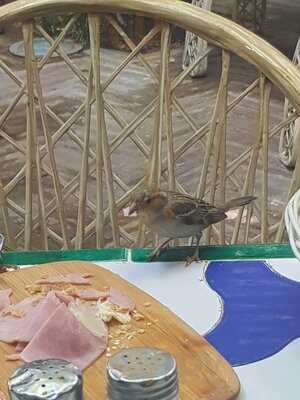 Hotel America Restaurant