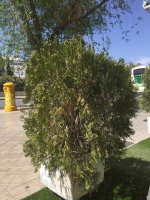 Hotel Granada Center