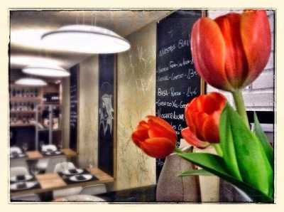 Restobar Gema Penalva