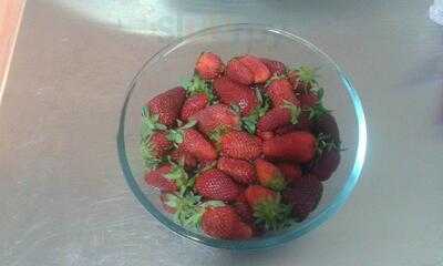 Dulce Italia Gelateria Artesanal Italiana