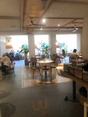 Saona Martinez Cubells