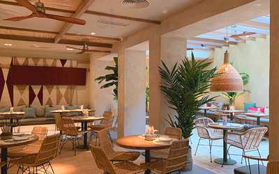 Saona Martinez Cubells