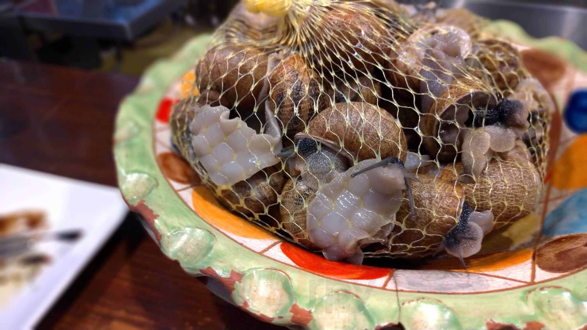 Meson El Caracol De Grana