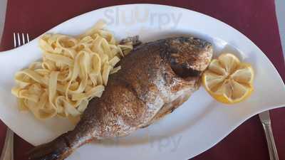 Les Inseparables De La Paloma