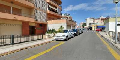 Les Inseparables De La Paloma