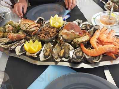 Les Inseparables De La Paloma