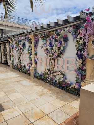 Pizzeria Il Forno Di Fiore