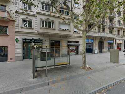 Els Pinxus Barra De Tapes