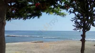 Gelandia Gelato & Caffe