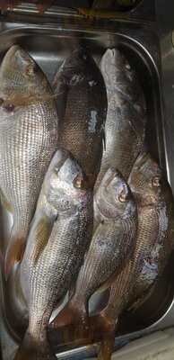 Restaurante Cambrils- Taberna Kupela