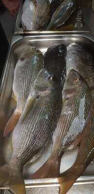 Restaurante Cambrils- Taberna Kupela