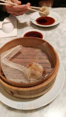 Fan Shoronpo Japones