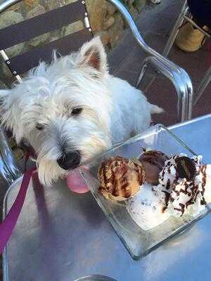 Gelateria Jijonenca Orxateria