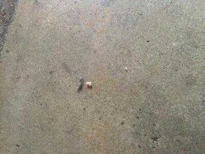 Abaceria La Nina Bonita