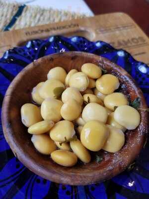 Fusión & Tradición