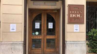 The Green Dog Café
