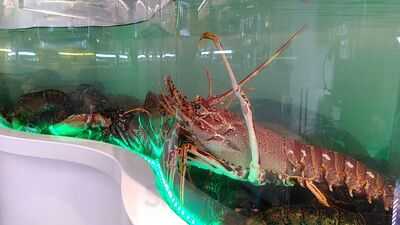 Restaurante Marísquería Mendata Berria