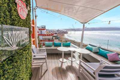 Rooftop & Terrace Aloe