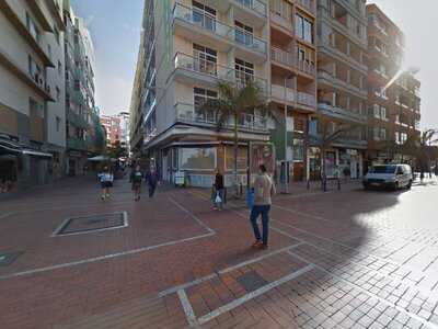 Rooftop & Terrace Aloe