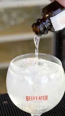 Rooftop & Terrace Aloe