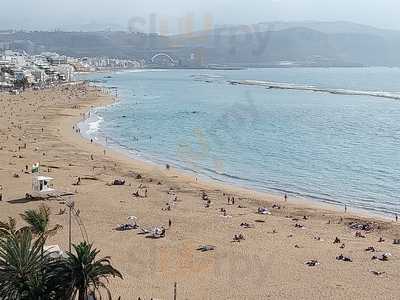 Rooftop & Terrace Aloe