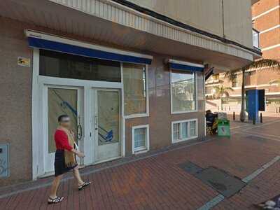 Rooftop & Terrace Aloe