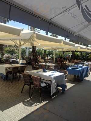 Els Peixaters De La Mediterrania