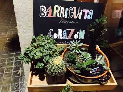 Barriguita