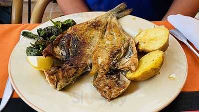 El Jardin De Las Maravillas