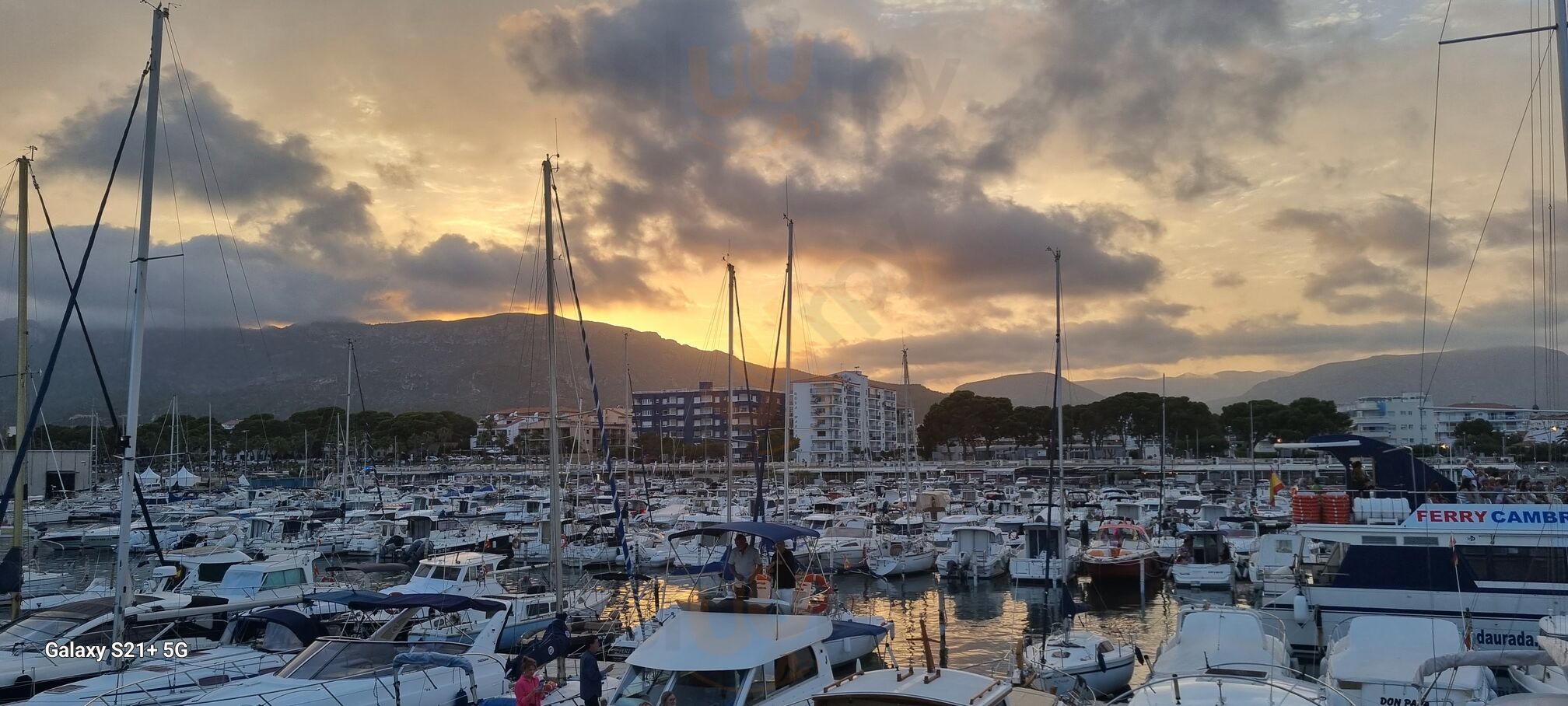 Muelle 58