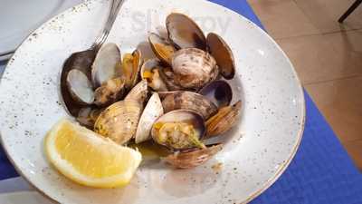 Casa Rafael Papa Erig