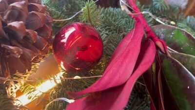 La Cuina De Laietana