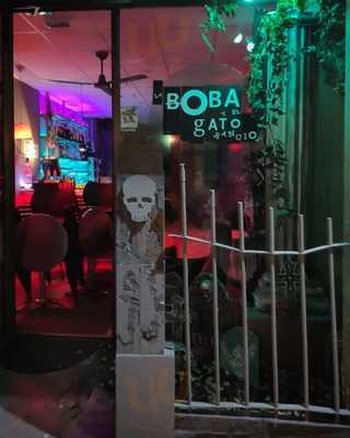 La Boba Y El Gato Rancio