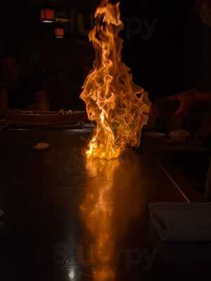 Aoi Teppanyaki