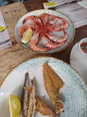 L'eriçó Del Trampolí