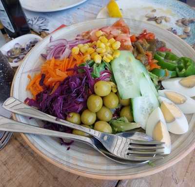 L'eriçó Del Trampolí