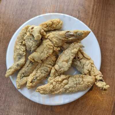 Blanco Cerrillo Pio Xii