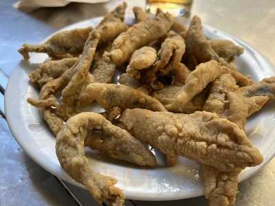 Blanco Cerrillo Pio Xii