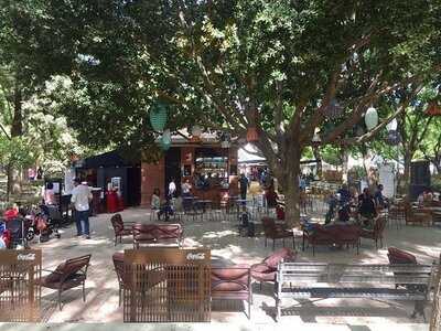 Divina Parrilla, S.l.