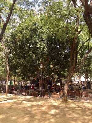 Divina Parrilla, S.l.