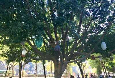 Divina Parrilla, S.l.